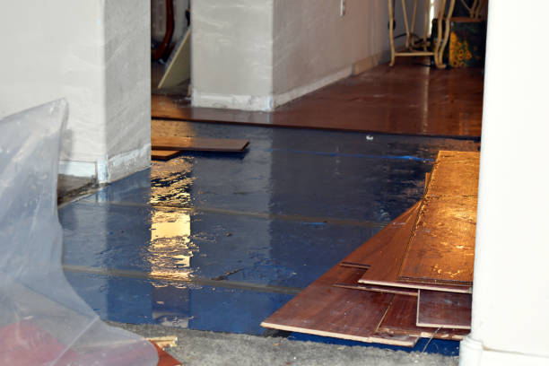 Professional Flood Damage Restoration technician working in Panhandle, TX